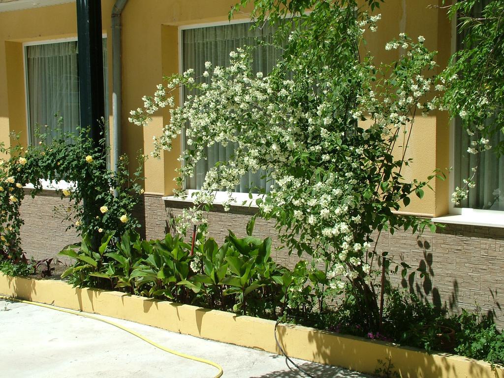 Hotel Rio Piscina Priego de Córdoba Extérieur photo